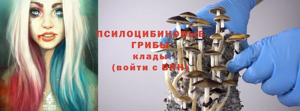 круглые Алексин