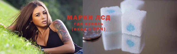 амф Ельня
