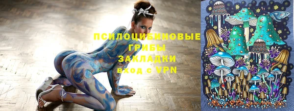 круглые Алексин