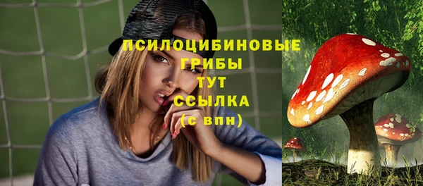 круглые Алексин