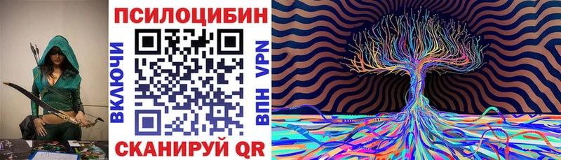 это клад  Снежногорск  Галлюциногенные грибы GOLDEN TEACHER  где можно купить  